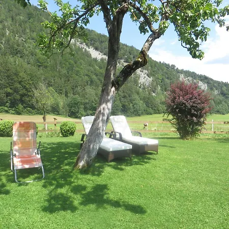 Schmiedbauernhof Farm stay