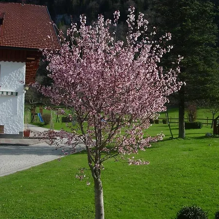 Schmiedbauernhof Çiftlik konaklama