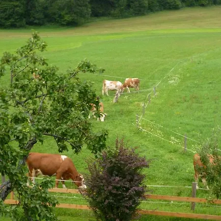 Farm stay Schmiedbauernhof Fuschl am See