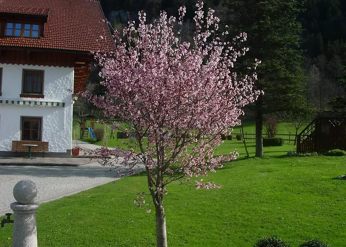 Schmiedbauernhof Séjour à la ferme