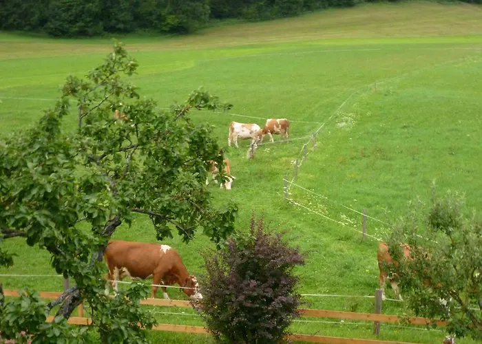 Séjour à la ferme Schmiedbauernhof Fuschl am See